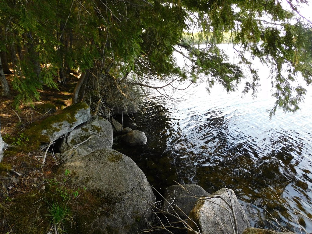 Picture 6