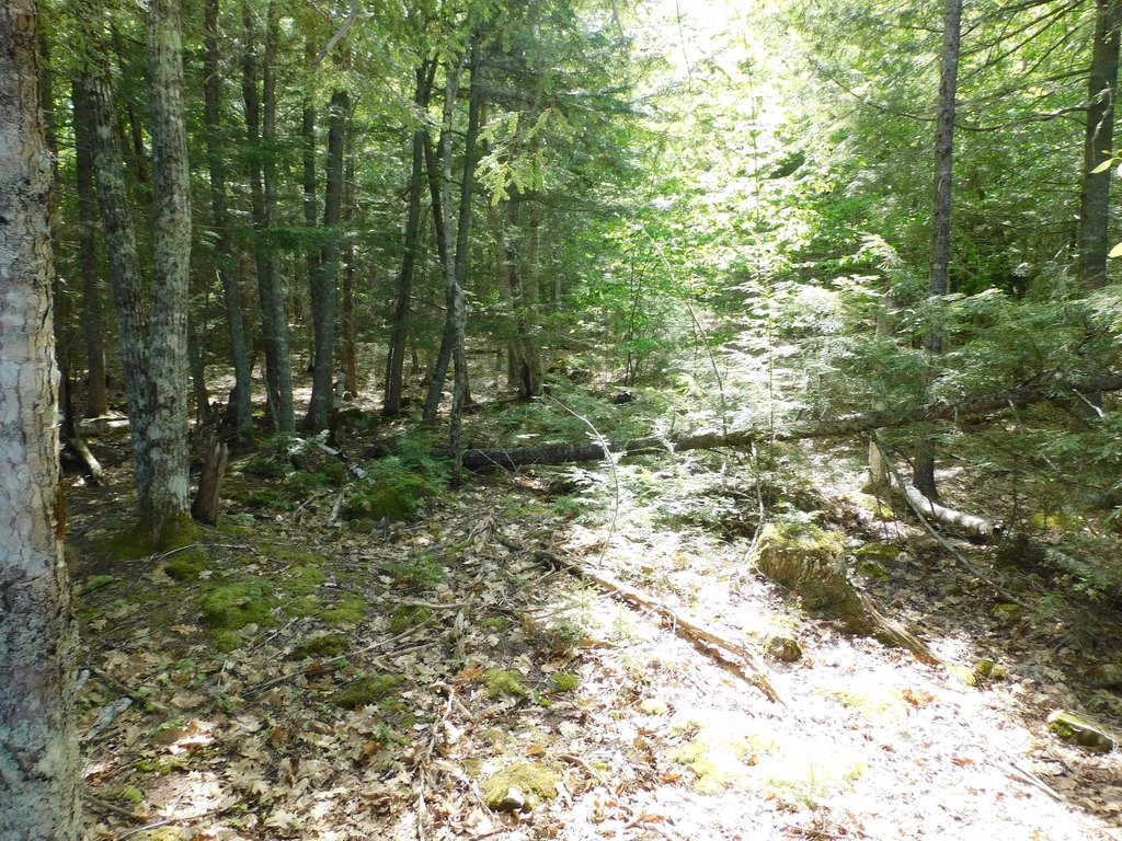 Picture 10