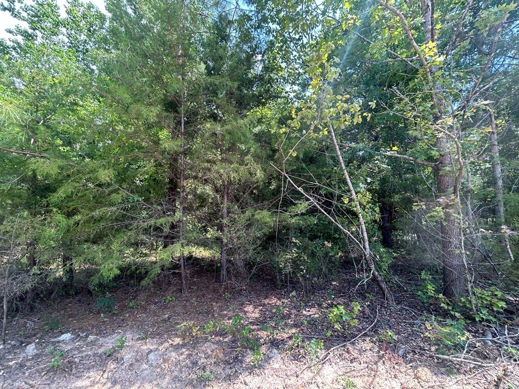 Picture 17