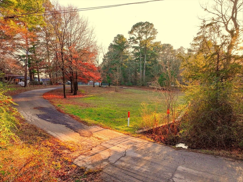 Picture 8