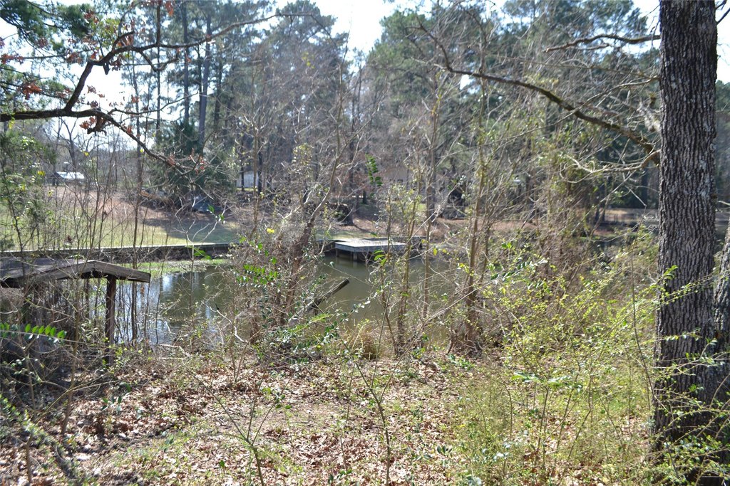 Picture 4