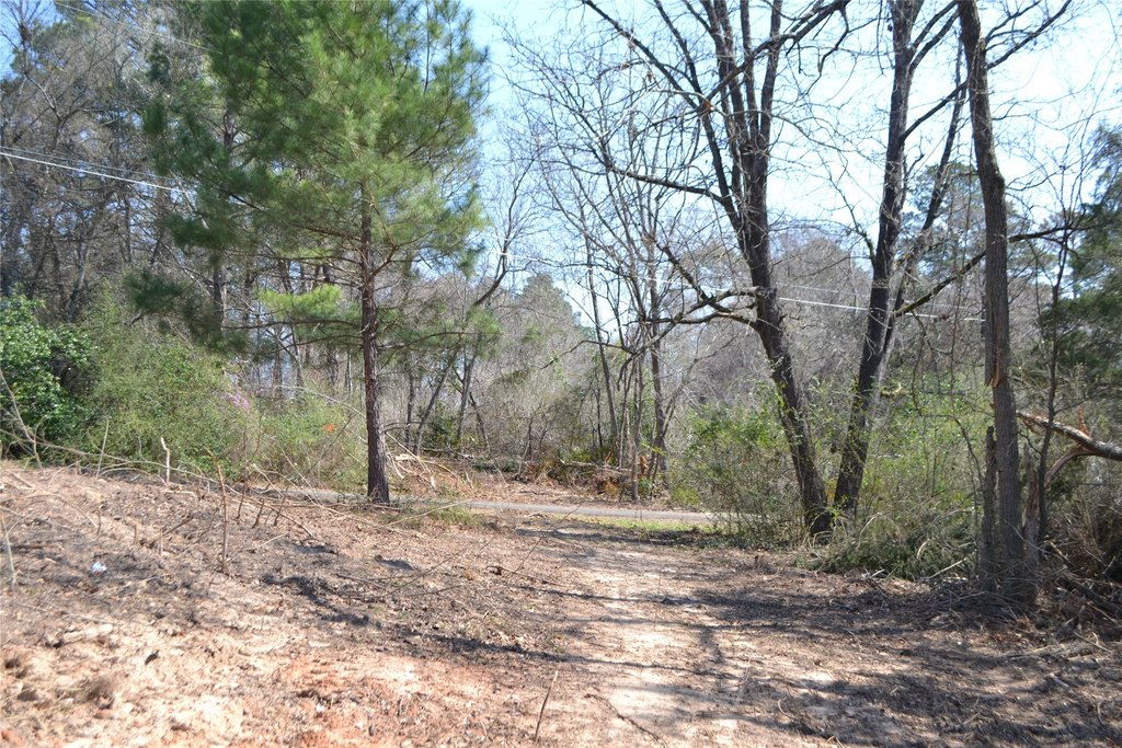 Picture 9
