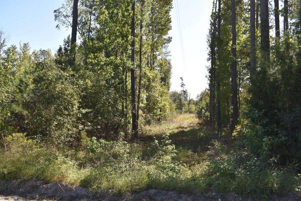 Picture 4