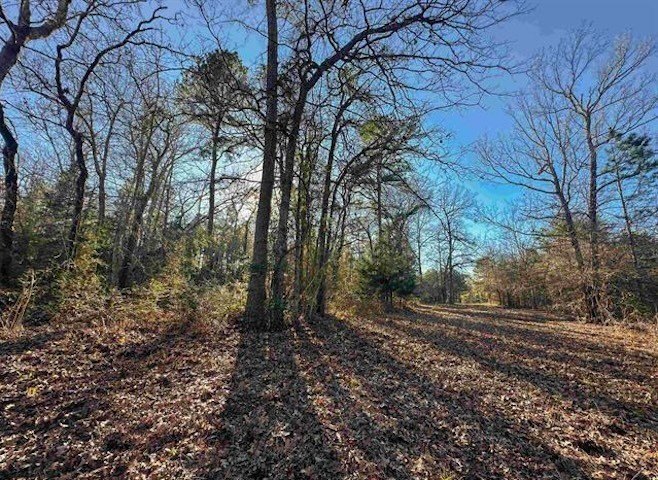 Picture 8