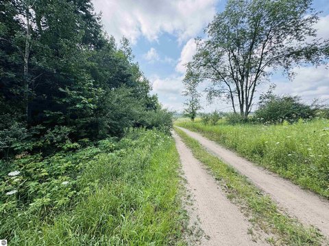 LAND - Manton, MI