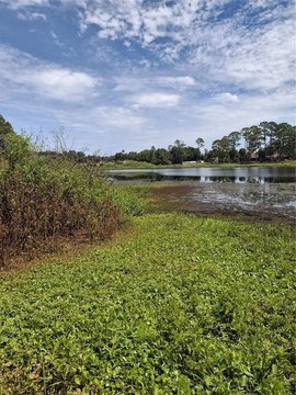 LAND - DELTONA, FL