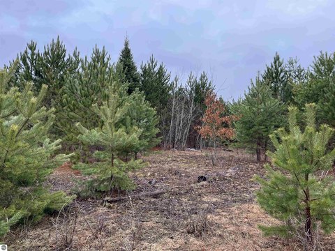 Kingsley Buildable Wooded Land Parcel