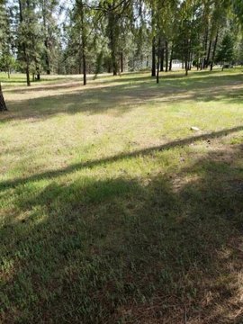 LAND - CHEWELAH, WA