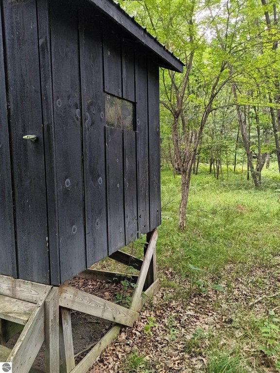 Picture 11