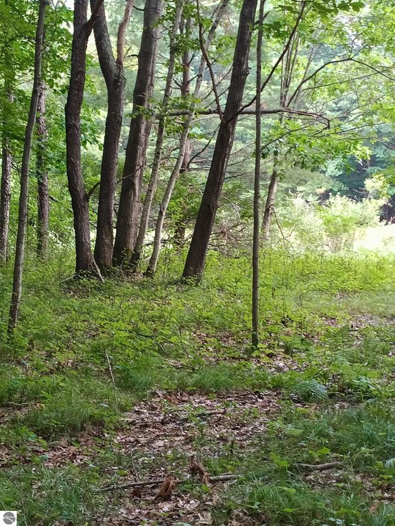 Picture 14