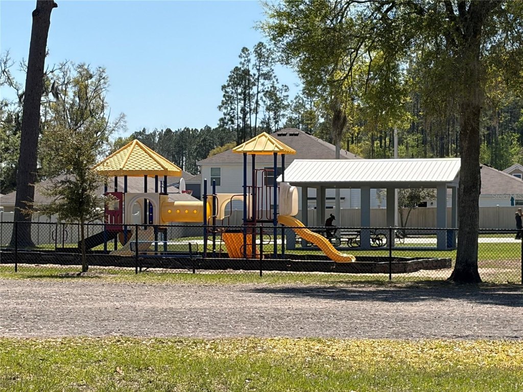 Picture 9