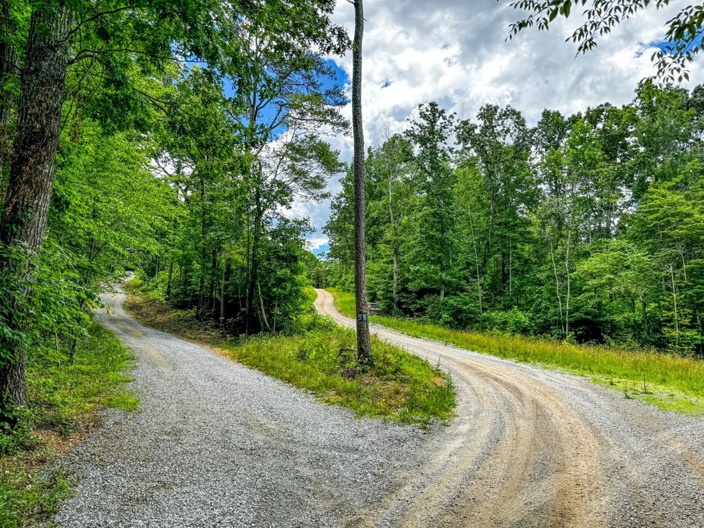 Picture 33