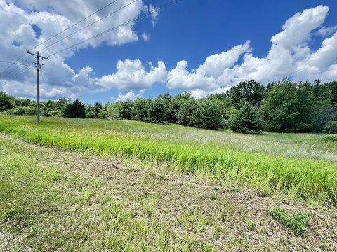 Land For Sale in Chase, MI