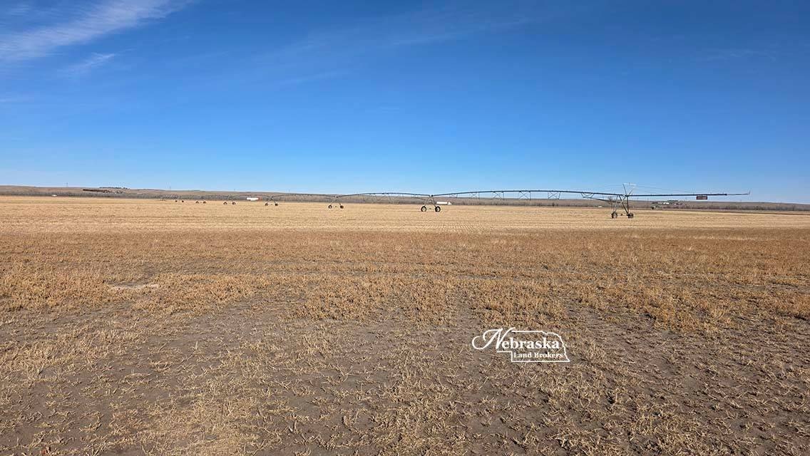 Irrigated Farm Near Big Springs