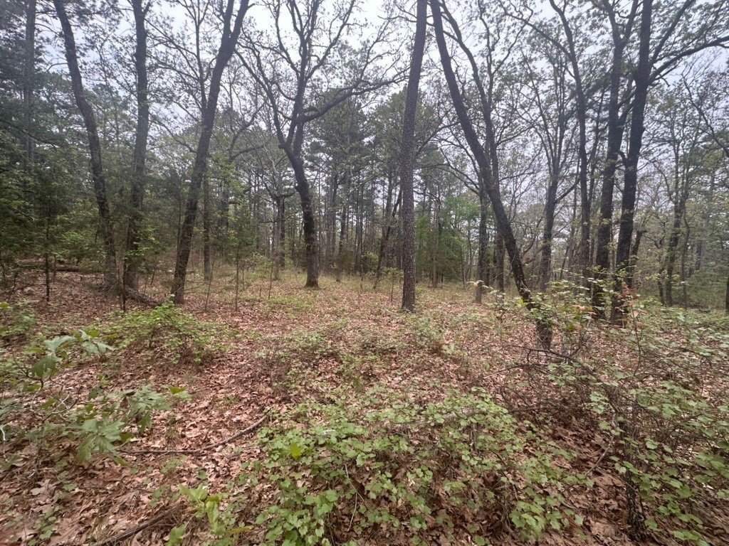 Picture 14