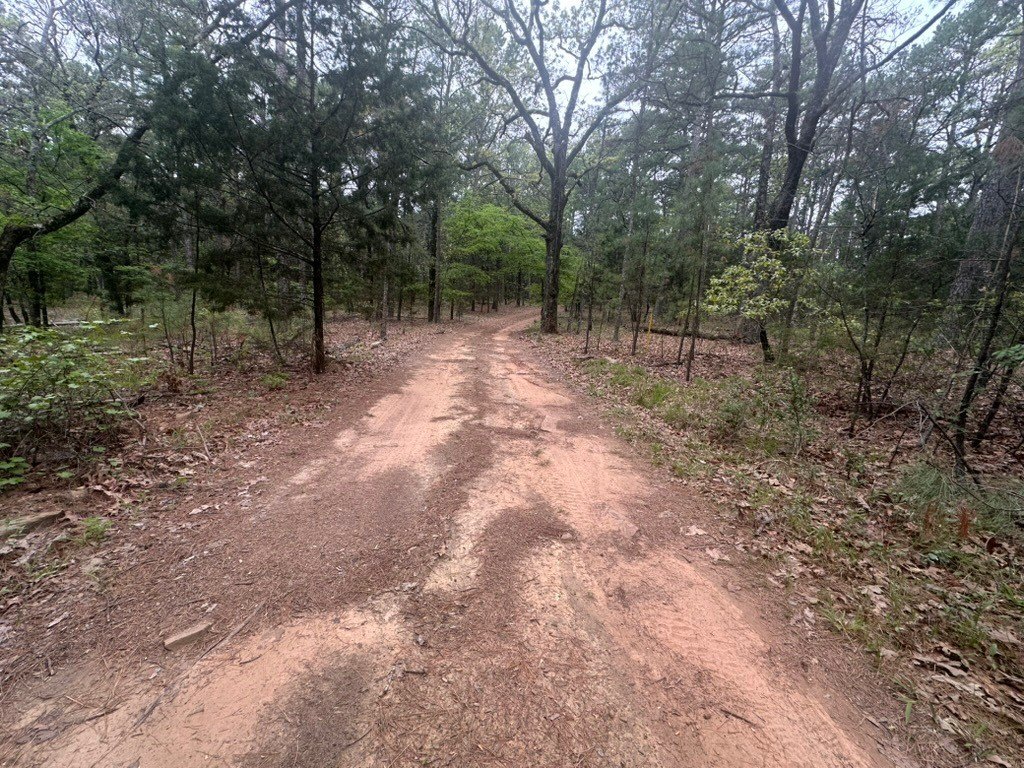 Picture 2