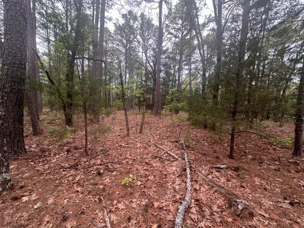 Picture 18