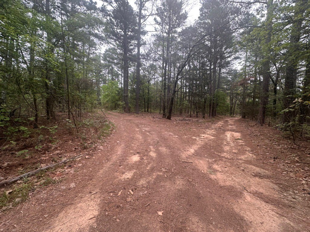Picture 13
