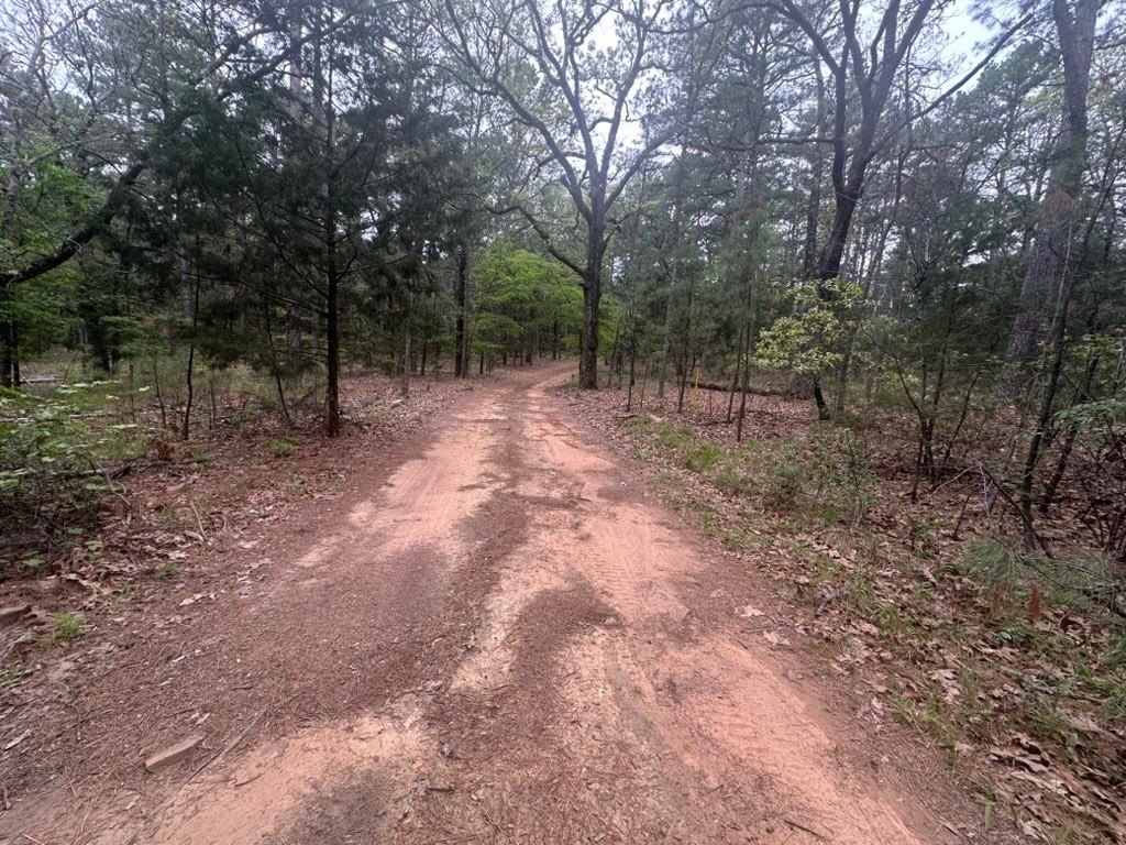 Picture 33