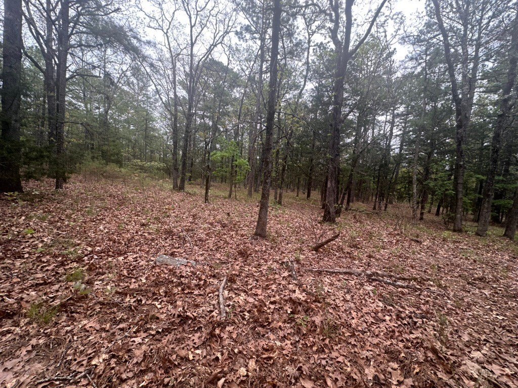 Picture 11
