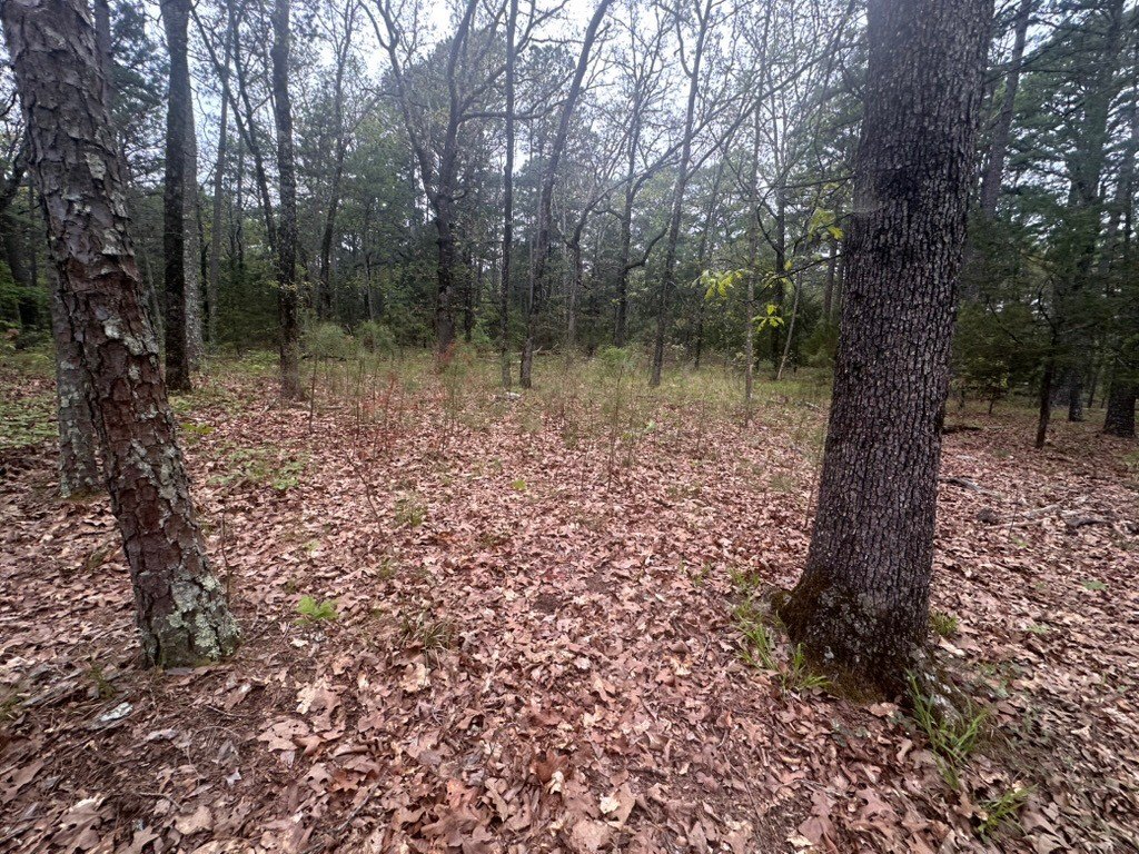 Picture 30