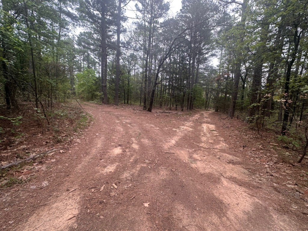 Picture 34