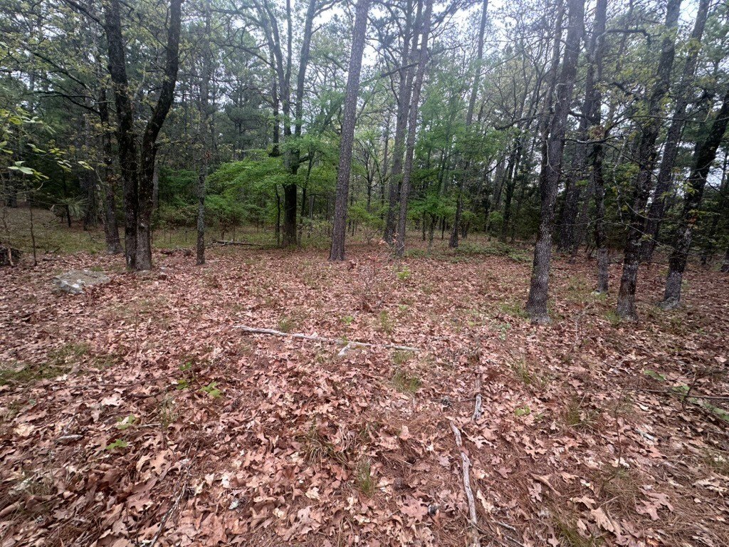 Picture 6
