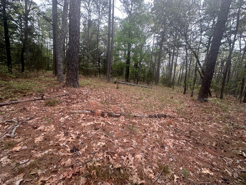 Picture 36