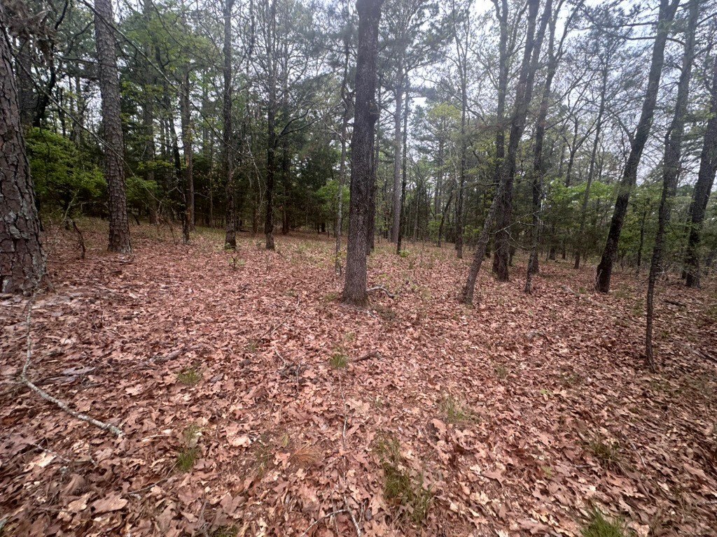 Picture 41