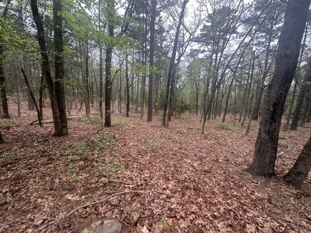 Picture 16