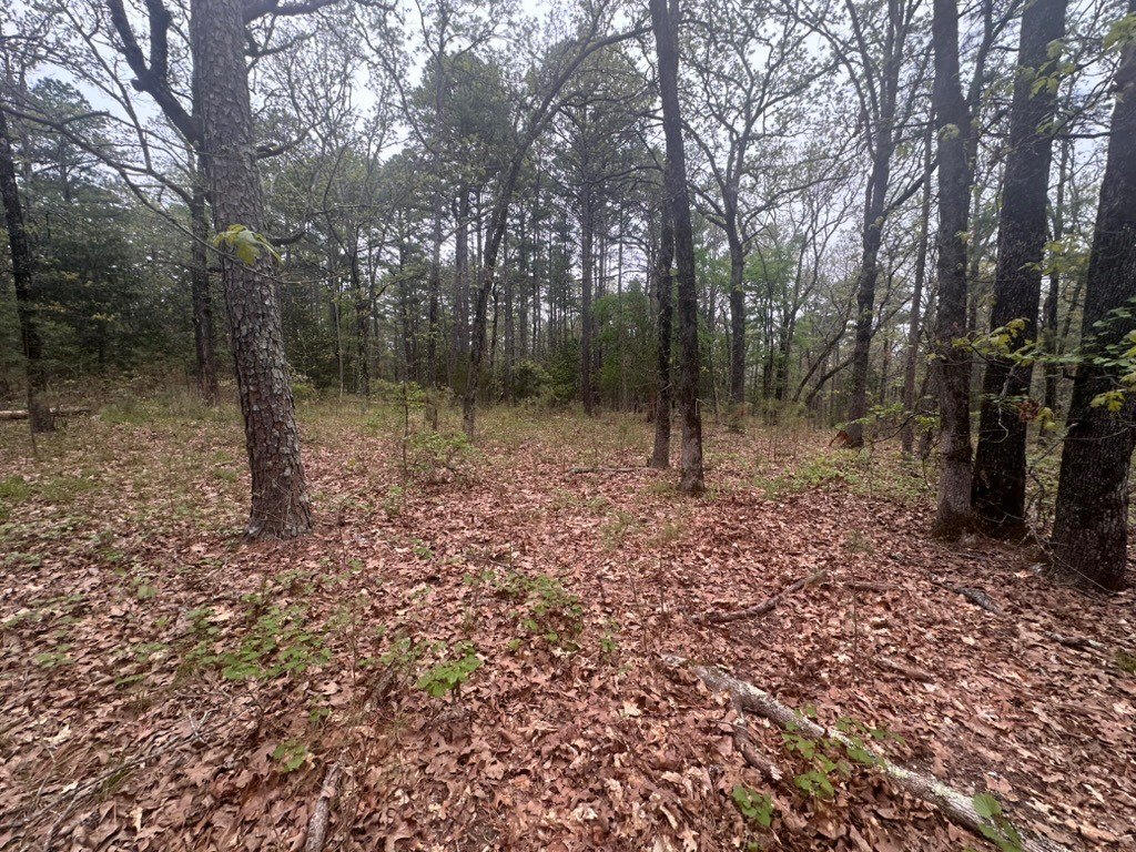 Picture 10