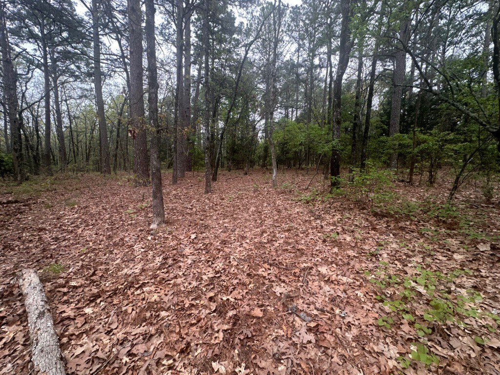 Picture 3