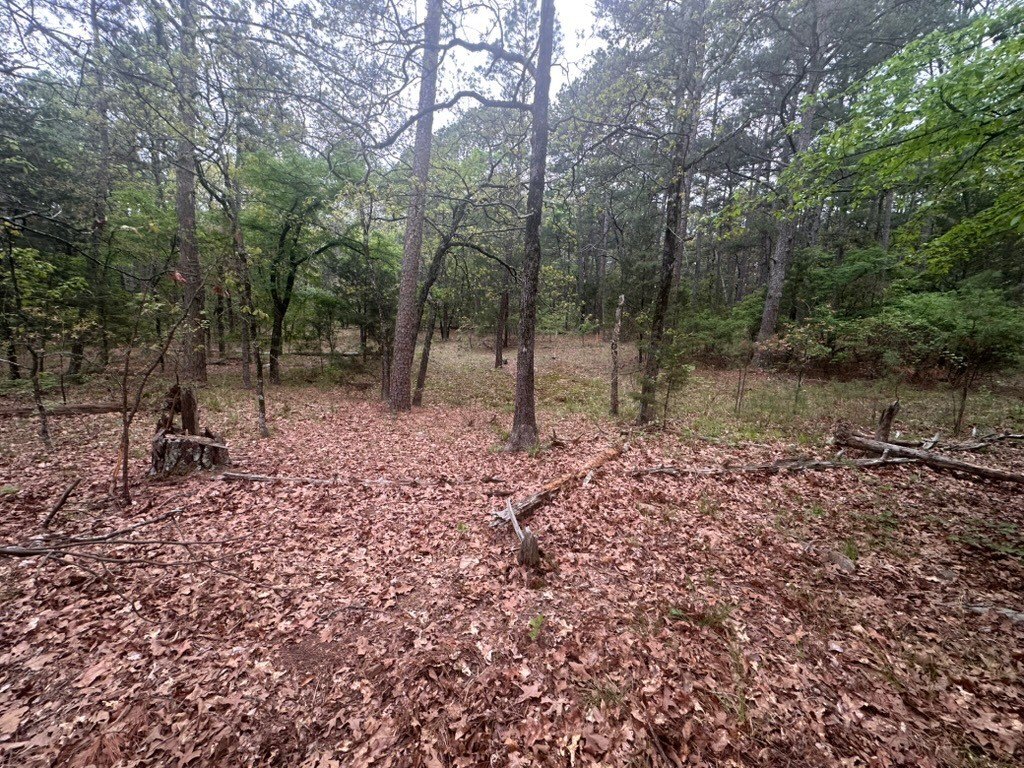 Picture 21