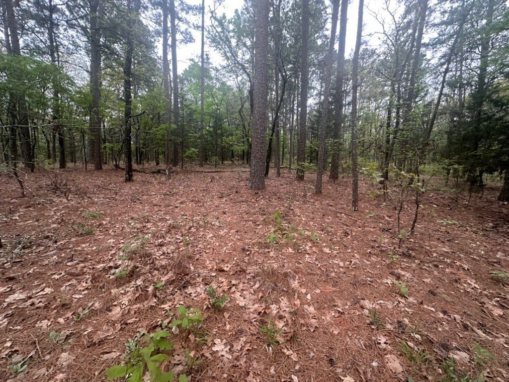 Picture 19