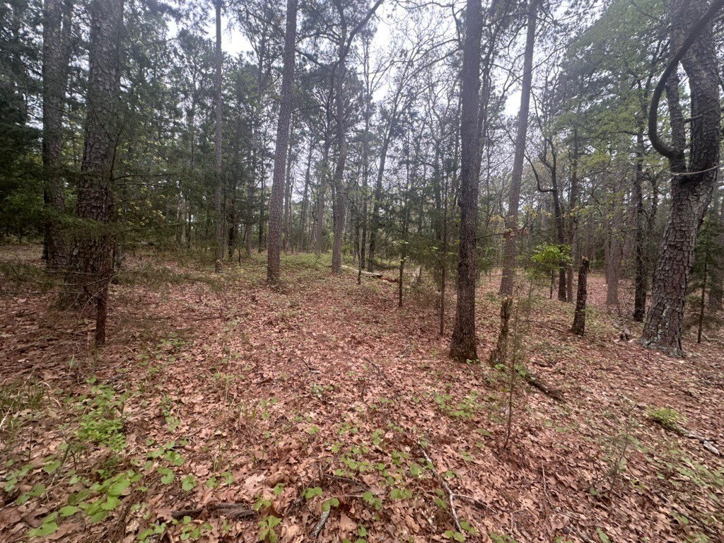 Picture 9