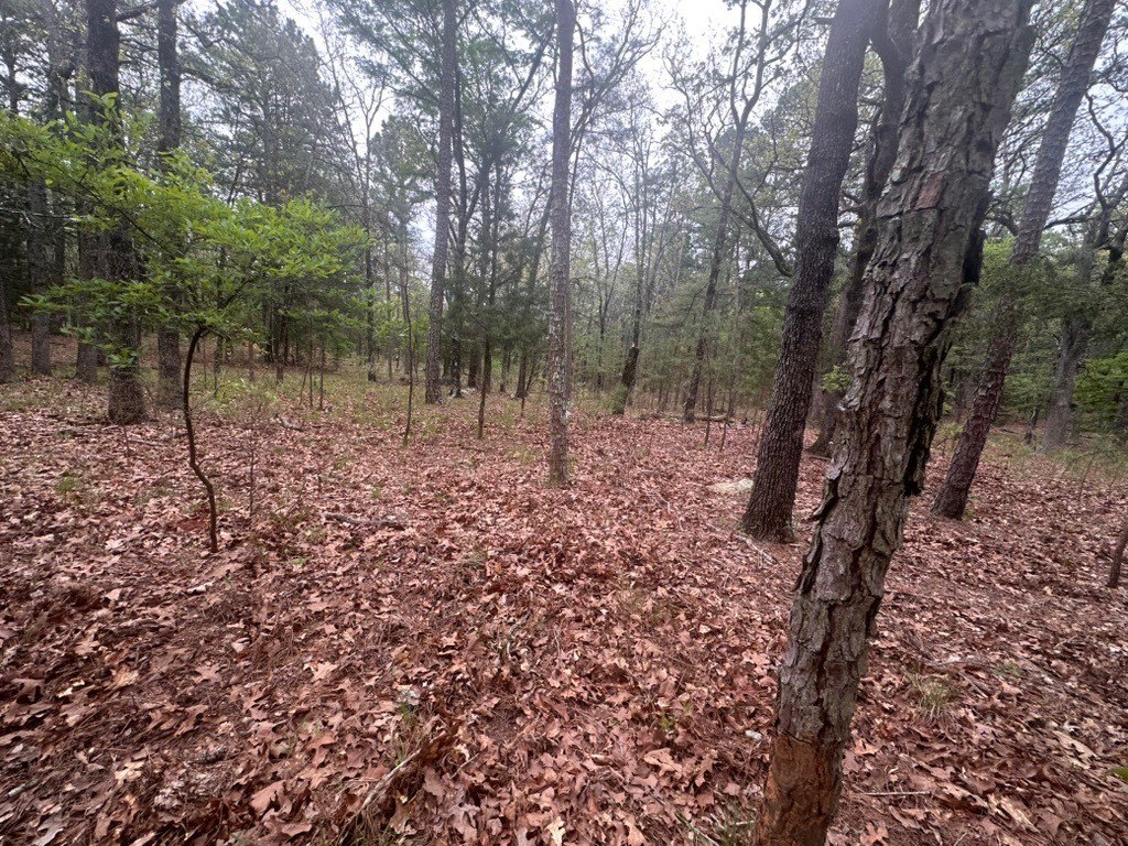 Picture 12