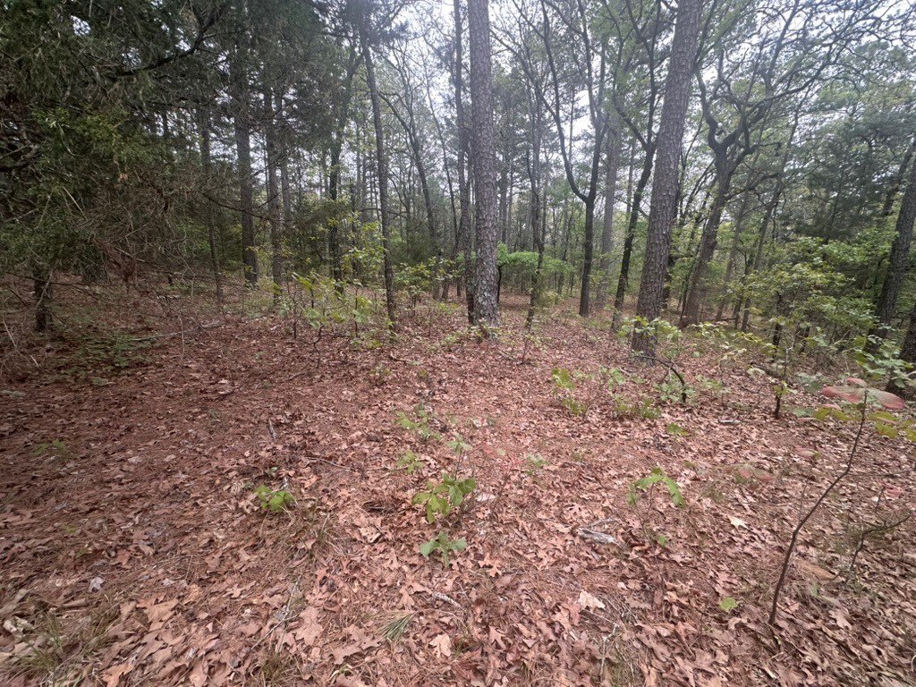 Picture 42