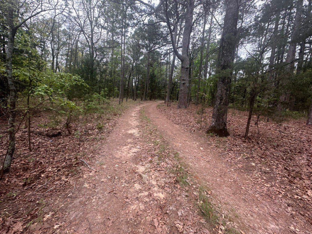 Picture 37