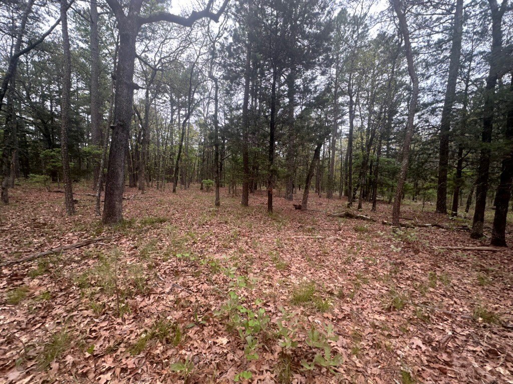 Picture 25