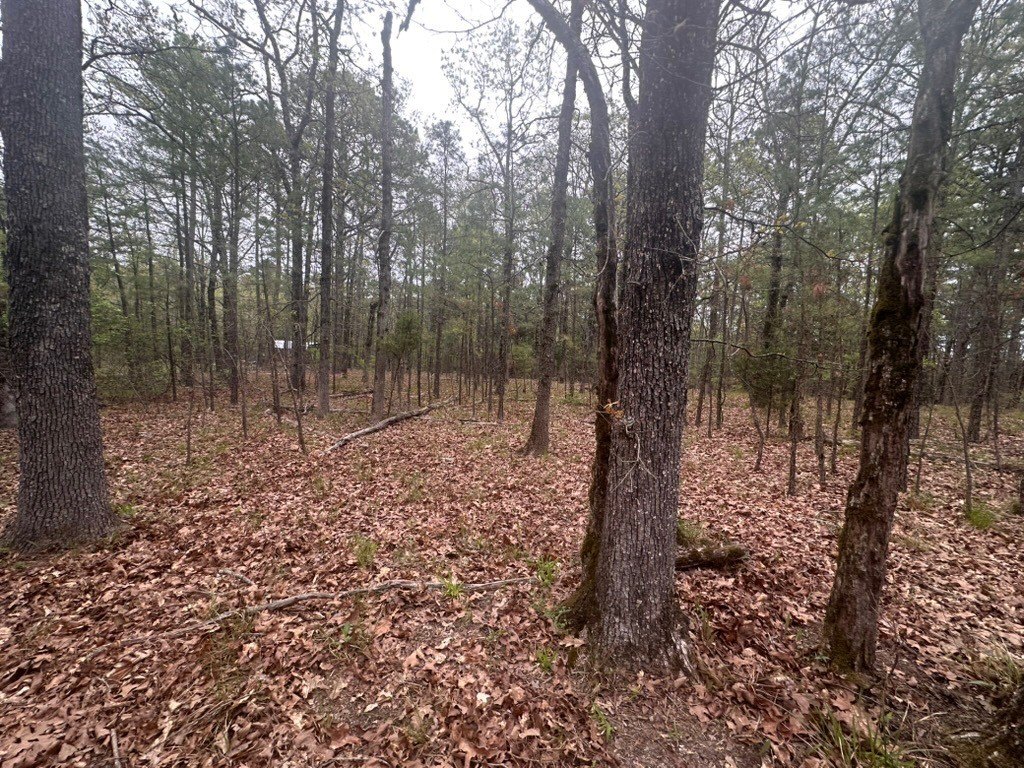 Picture 27