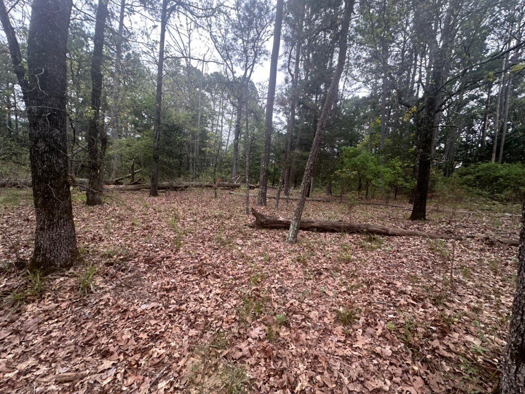 Picture 38