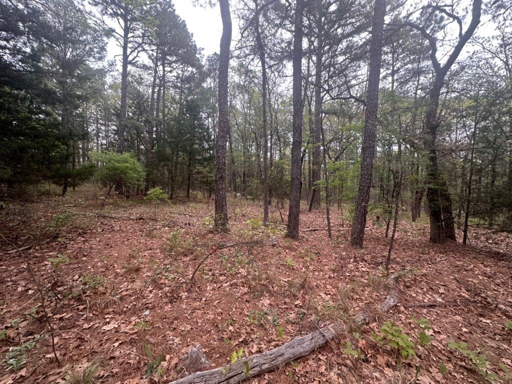 Picture 15