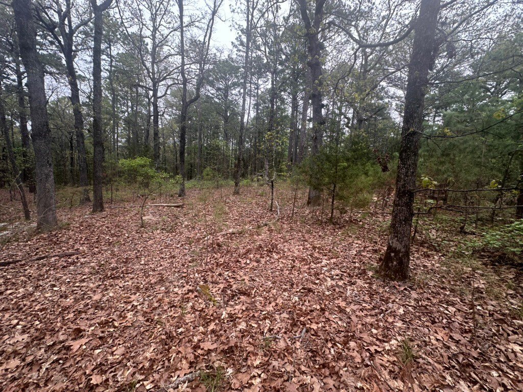 Picture 28