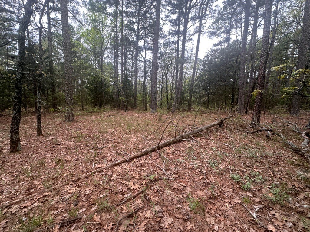Picture 31