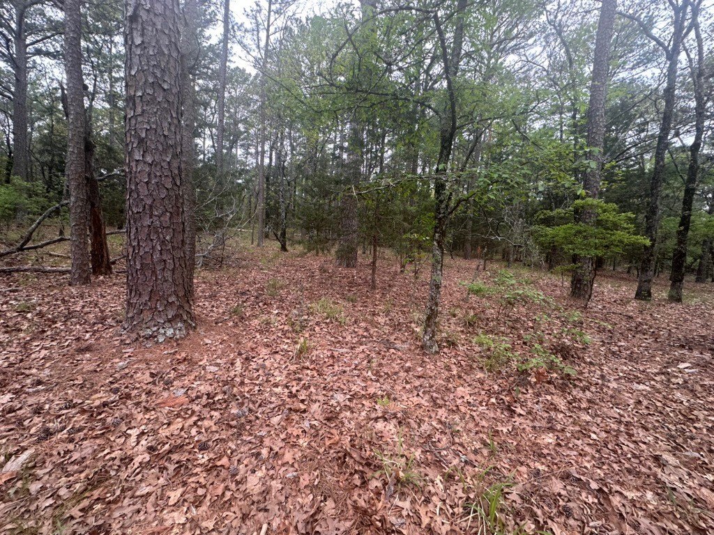 Picture 23