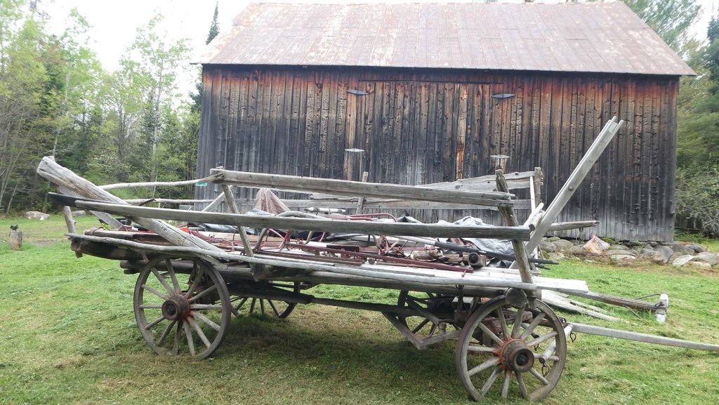 Picture 17