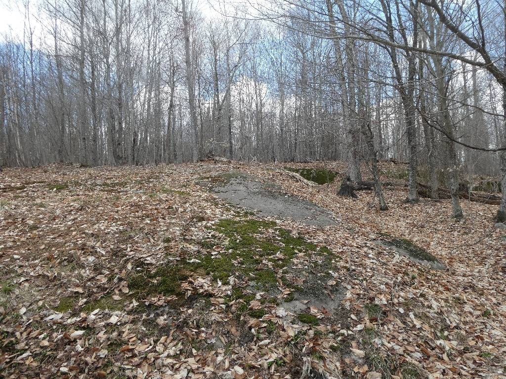 Picture 22