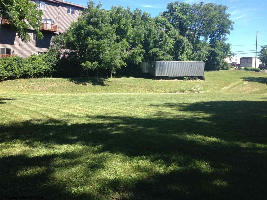 Picture 3