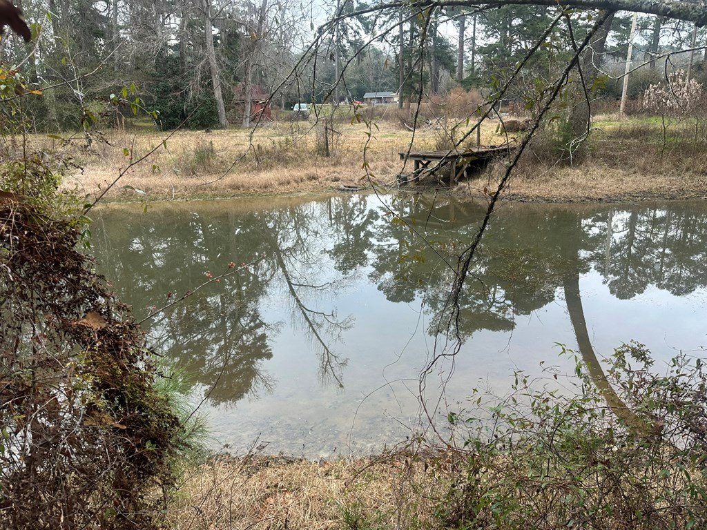 Picture 11
