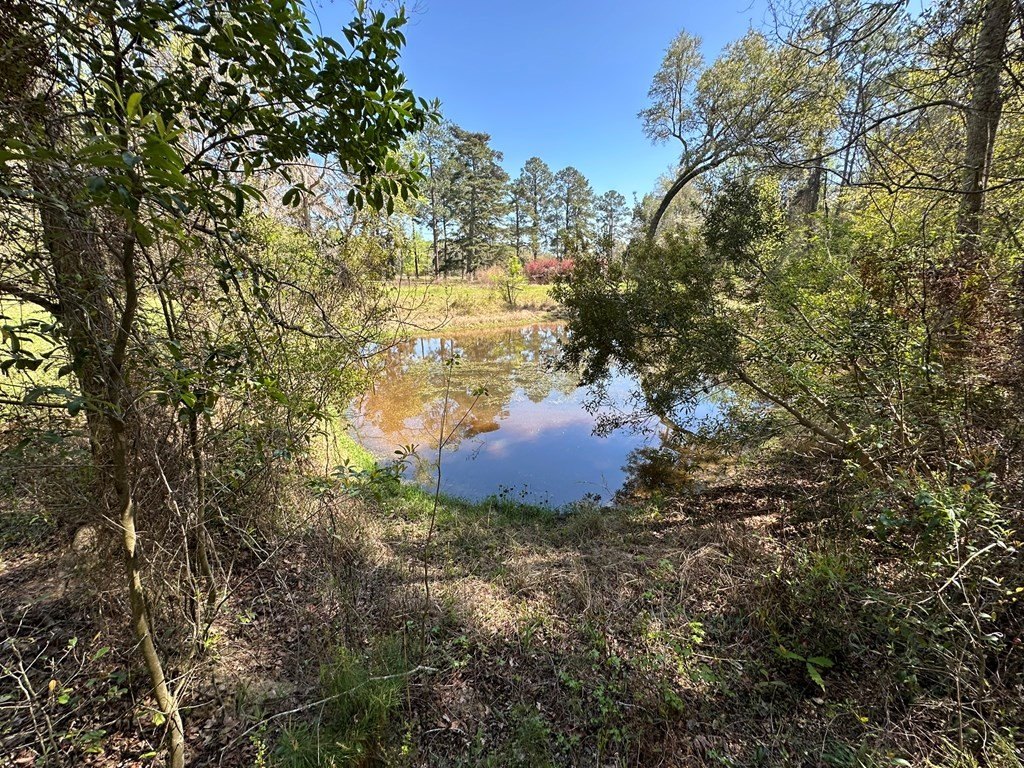 Picture 22